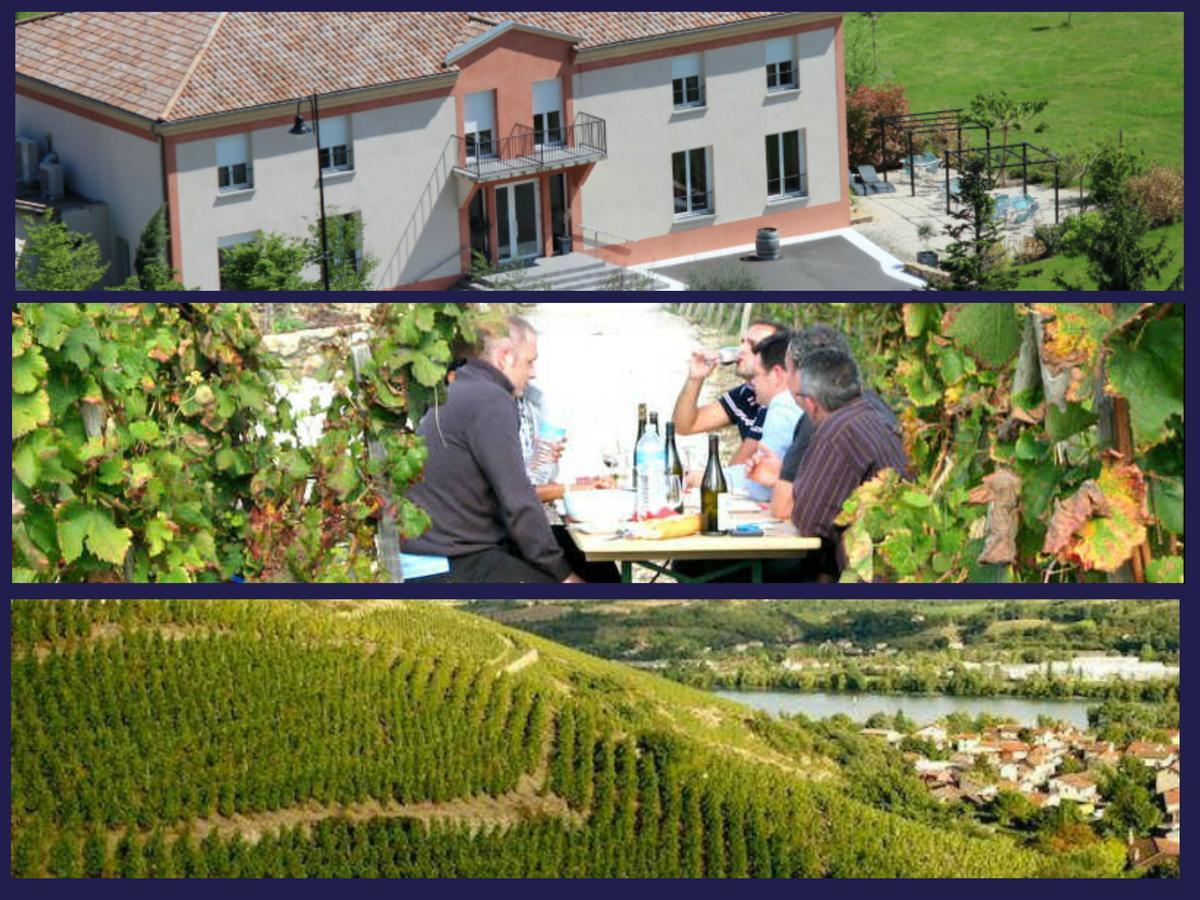 Hotel Le Domaine Des Vignes Ampuis Lyon Sud Vienne Ngoại thất bức ảnh