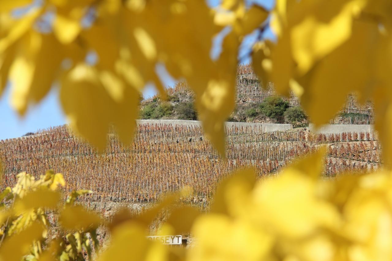 Hotel Le Domaine Des Vignes Ampuis Lyon Sud Vienne Ngoại thất bức ảnh
